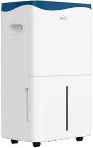 DRYPURYEVOWF41