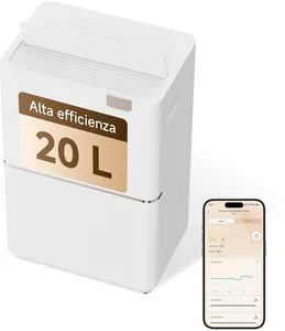DD20