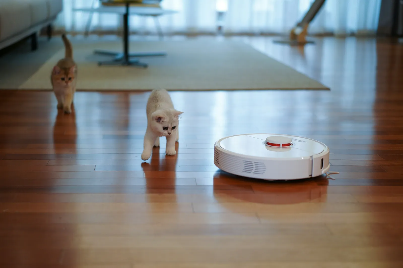 Scegliere il robot aspirapolvere