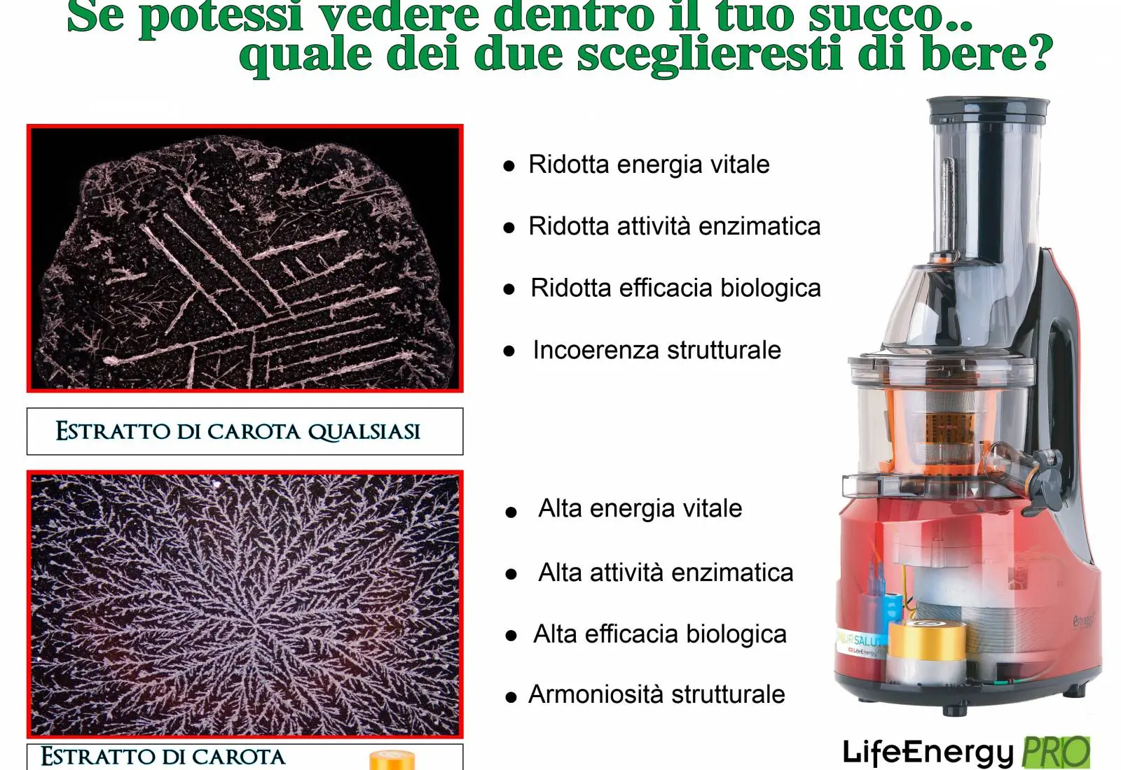 Immagine La tua salute richiede tanti enzimi vivi e ricchi di energia 1