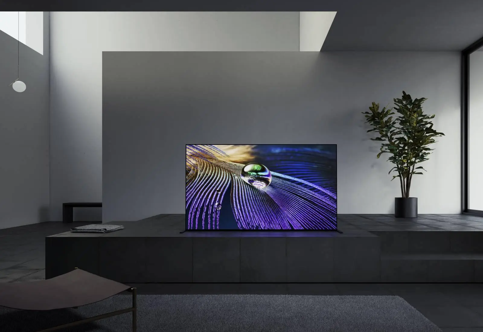 Immagine Il primo tv al mondo con un cervello (quasi) come quello dell