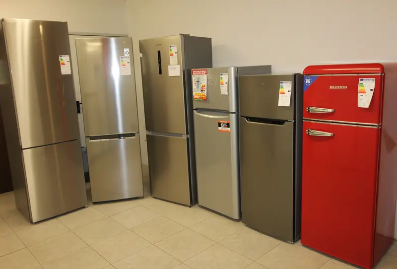 Immagine Din Din  di Marco Bonapace & C. Sas 1