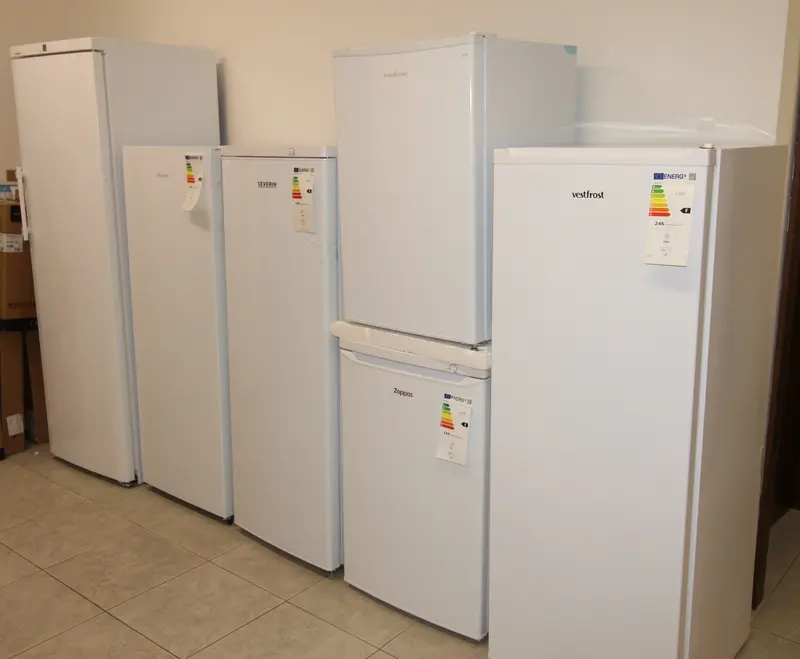 Immagine Din Din  di Marco Bonapace & C. Sas 3