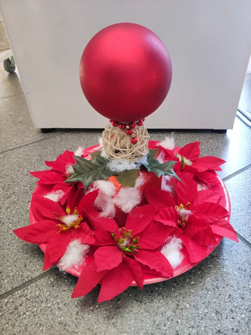 Immagine Carnevali Maurizio & C Snc 1