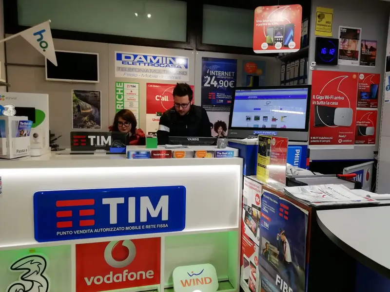 Immagine DAMINI Elettrocasa 1