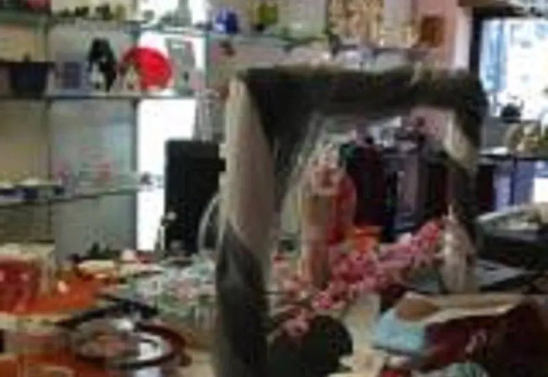 Immagine Elettro Calandrelli 1