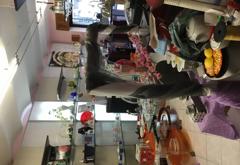 Immagine Elettro Calandrelli 3