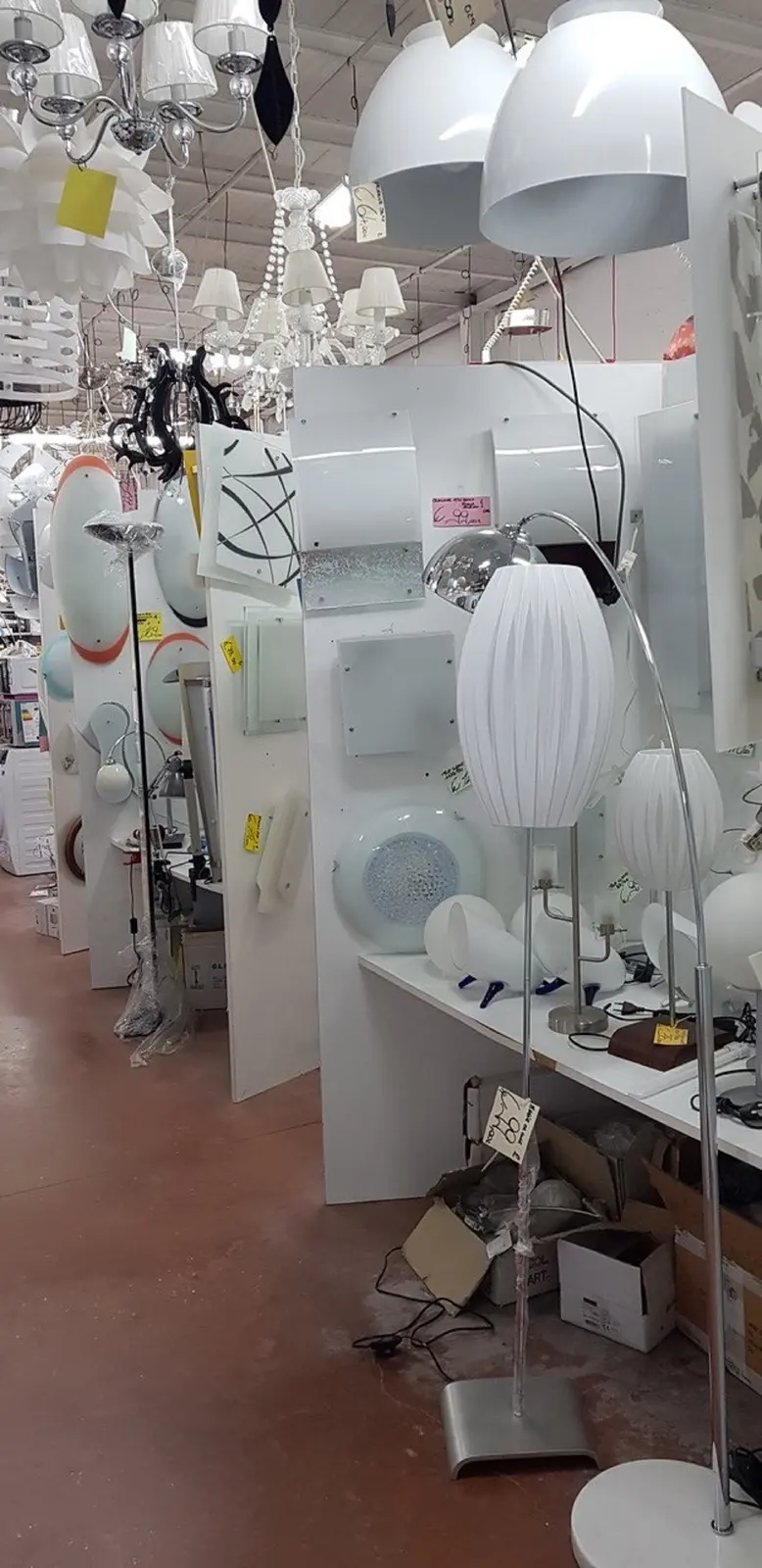 Immagine Calderoni Cinzia 7