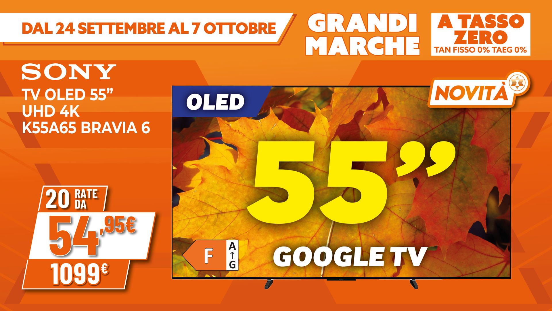 TV OLED SONY 55"